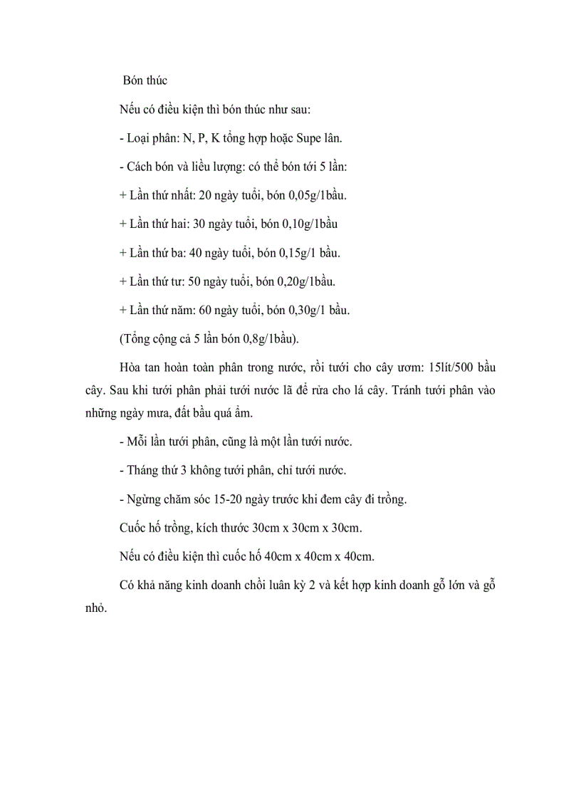 image for page Kỹ thuật trồng và chăm sóc cây bạch đàn trắng