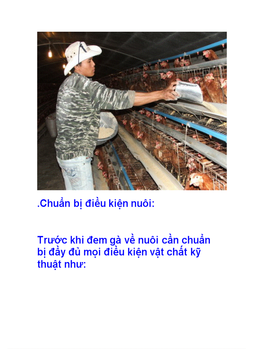 image for page Kỹ thuật nuôi gà