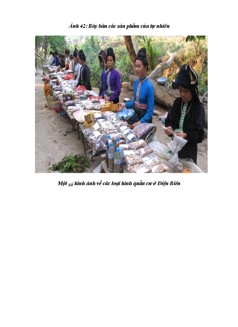 image for page Phương pháp dạy học địa lý địa phương ở trường cao đẳng sư phạm