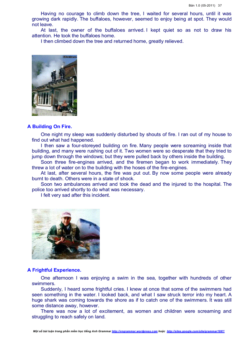 image for page Essay Grammar