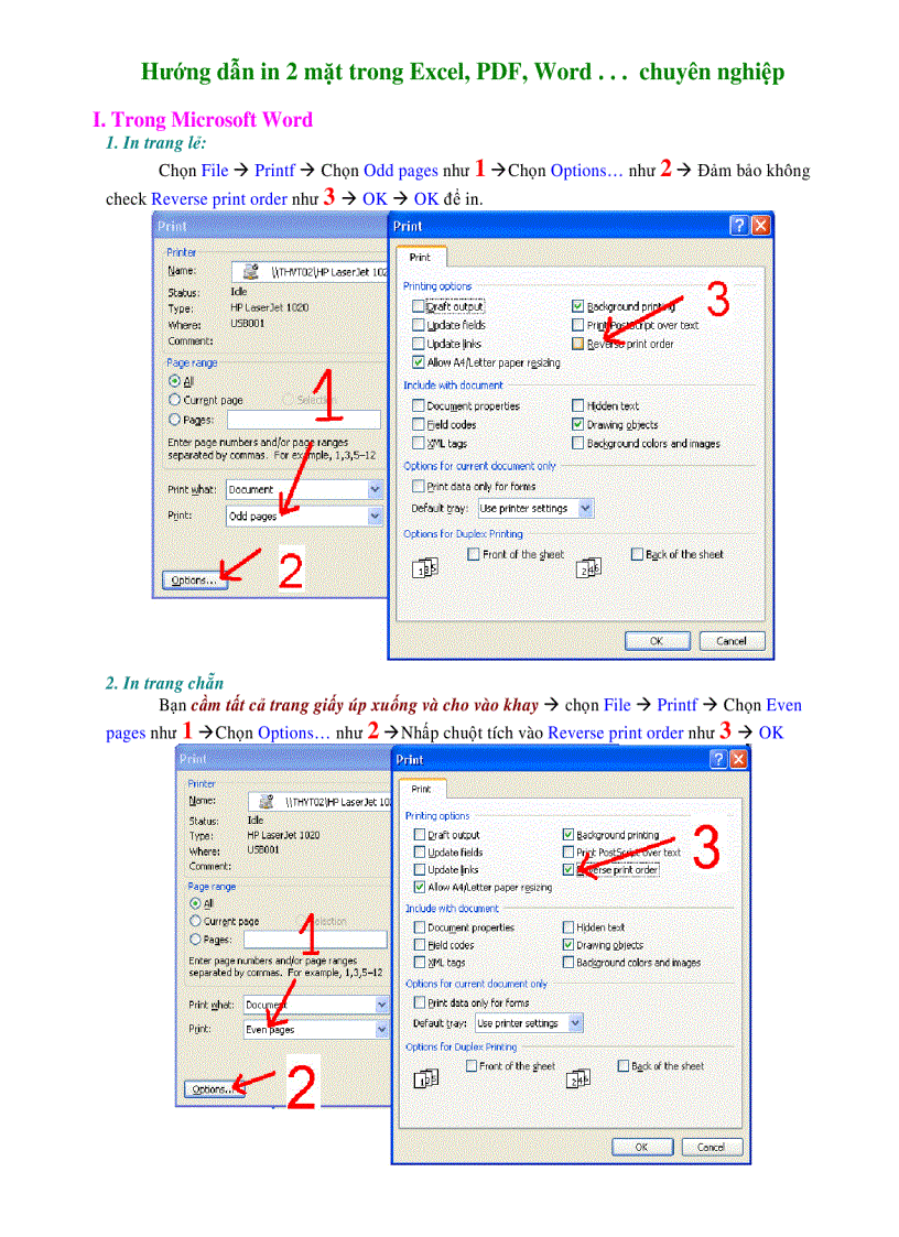 Hướng dẫn in 2 mặt