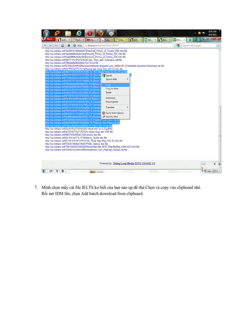 image for page Hướng dẫn add VIP IDM bằng file reg