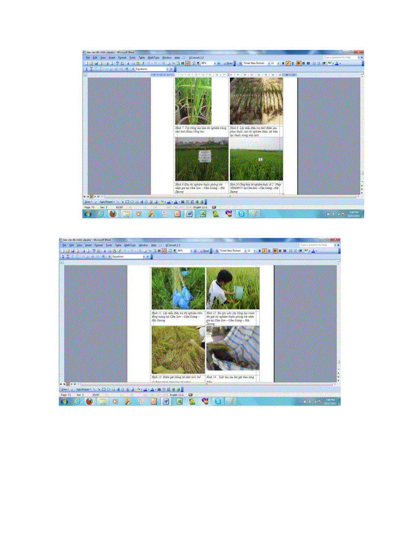 image for page Nghiên cứu hiệu lực của một số loại thuốc phòng trừ nhện gié Steneotarsonemus spinki Smiley hại lúa vụ mùa năm 2010 tại Hà Nội và Hải Dương 1