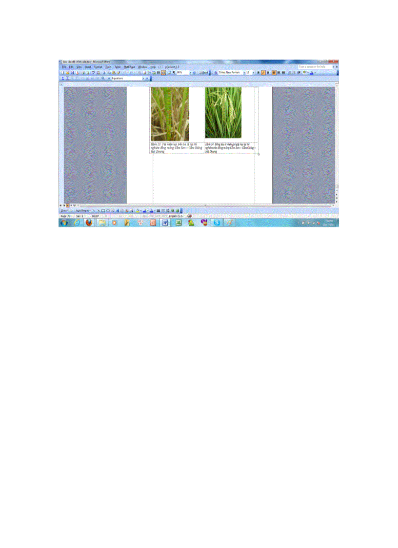 image for page Nghiên cứu hiệu lực của một số loại thuốc phòng trừ nhện gié Steneotarsonemus spinki Smiley hại lúa vụ mùa năm 2010 tại Hà Nội và Hải Dương 1