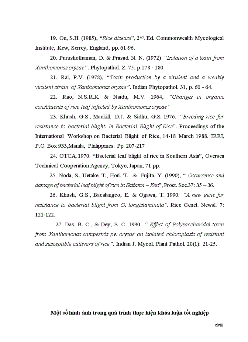 image for page Đánh giá khả năng kháng bệnh bạc lá của 13 giống lúa với vi khuẩn X oryzae thuộc nòi số 1 race 1 và nòi số 5 race 5 vụ xuân 2011 tại trường ĐHNN Hà nội