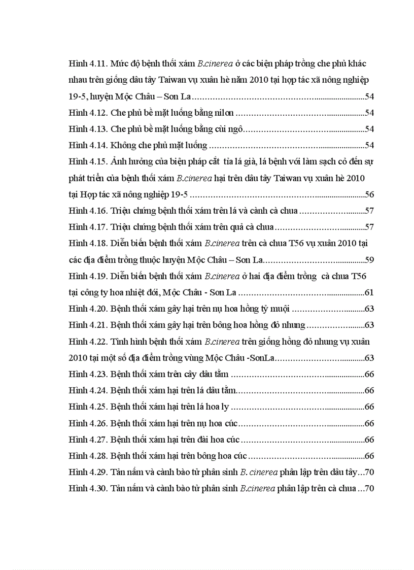 image for page Nghiên cứu bệnh thối xám Botrytis cinerea Pers gây hại trên một số cây trồng cạn vụ thu đông năm 2009 và vụ xuân hè năm 2010 tại Mộc Châu Sơn La