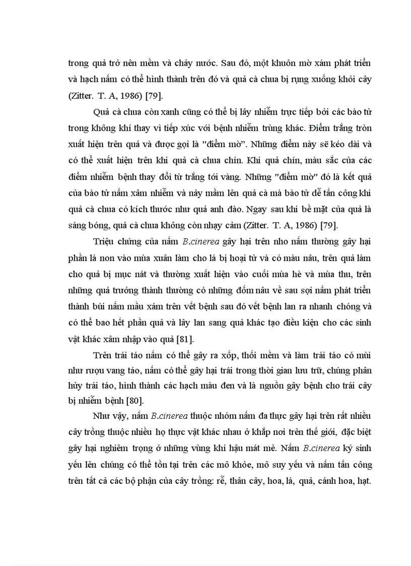 image for page Nghiên cứu bệnh thối xám Botrytis cinerea Pers gây hại trên một số cây trồng cạn vụ thu đông năm 2009 và vụ xuân hè năm 2010 tại Mộc Châu Sơn La