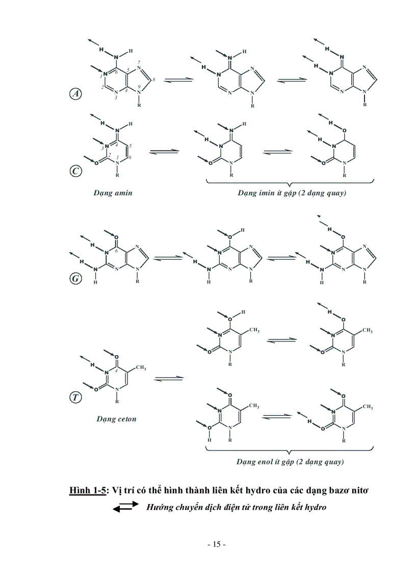 image for page Giáo trình Cơ sở di truyền