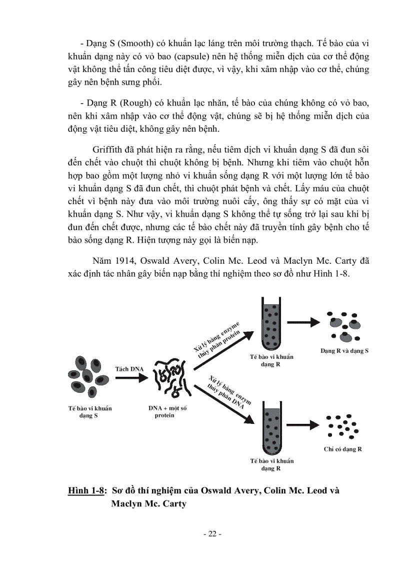 image for page Giáo trình Cơ sở di truyền