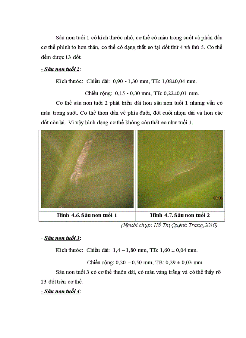 image for page NGHIÊN CỨU ĐẶC ĐIỂM SINH HỌC SINH THÁI CỦA SÂU VẼ BÙA Phyllocnistis citrella Stainton HẠI CÂY CAM VÀ LOÀI ONG KÝ SINH Cirrospilus sp NĂM 2009 2010 TẠI GIA LÂM HÀ NỘI
