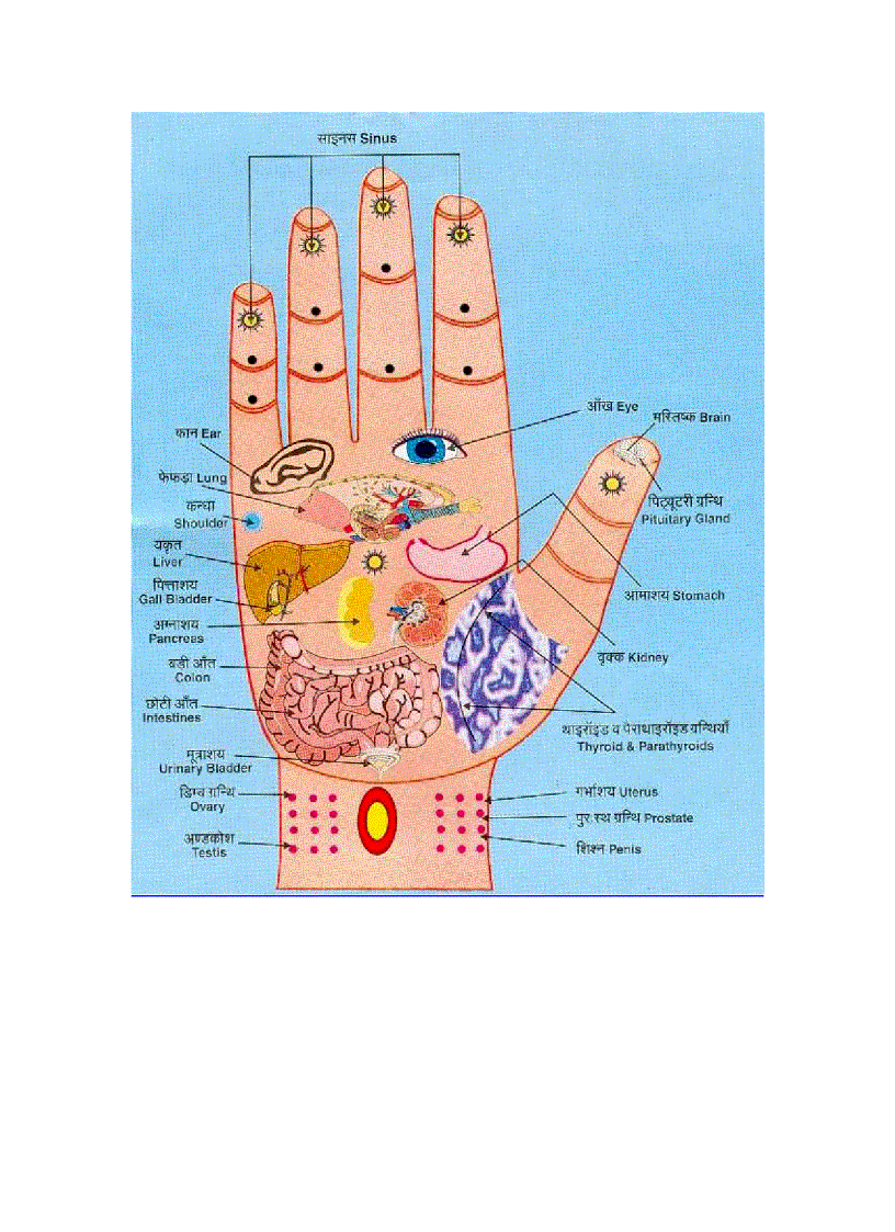image for page Tài liệu về sức khỏe
