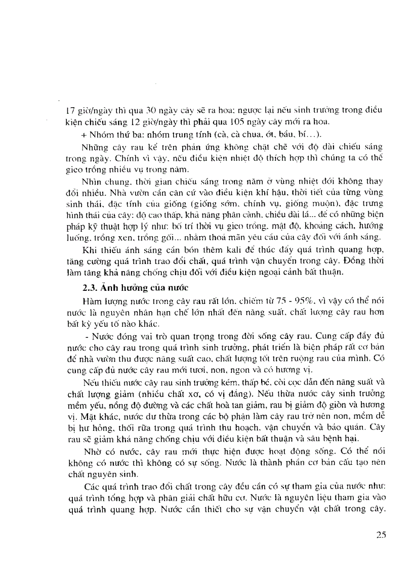 image for page Giáo Trình Kỹ Thuật Trồng Rau