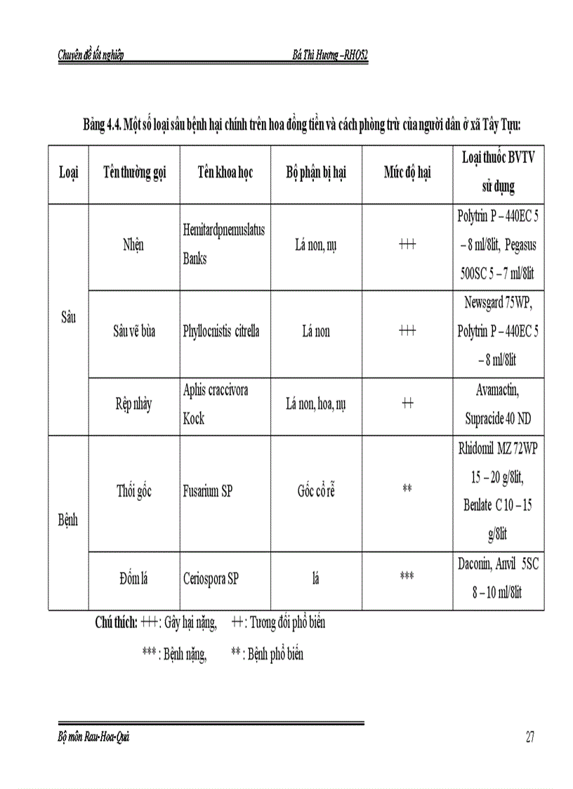 image for page Đánh giá đặc điểm sinh trưởng phát triển của hoa đồng tiền đột biến trong nhà lưới