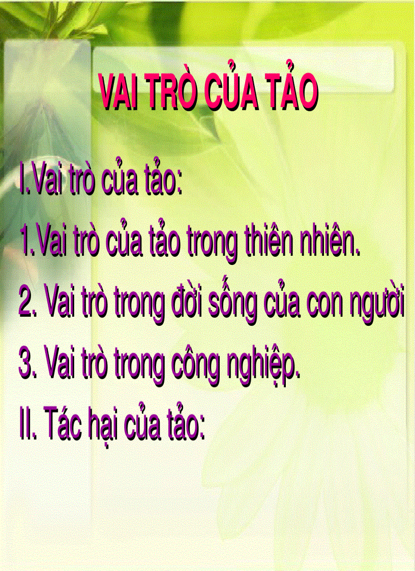 image for page Tìm hiểu về vai trò của tảo