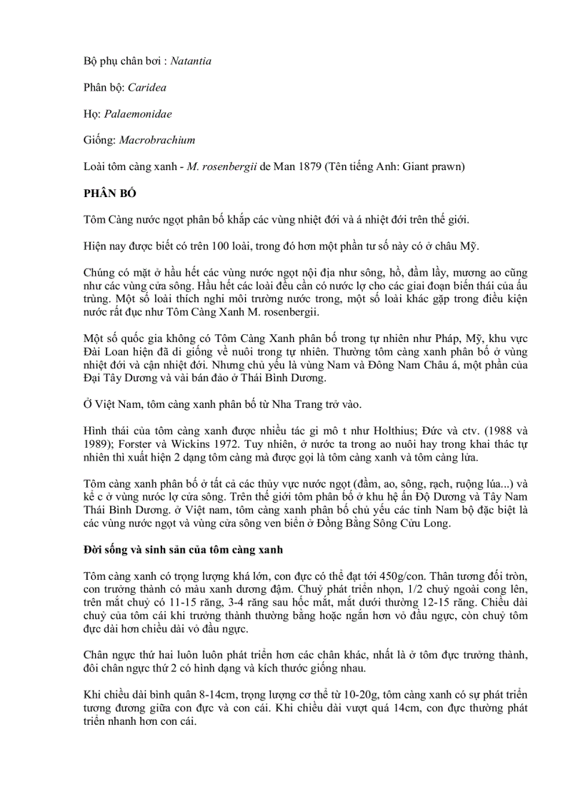 image for page Kỹ thuật nuôi tôm càng xanh