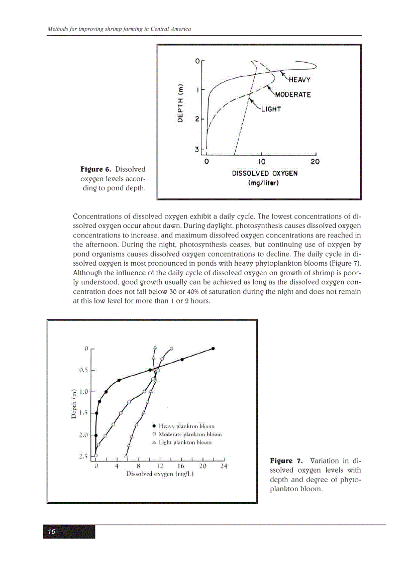 image for page Kỹ thuật nuôi tôm bằng tiếng Anh