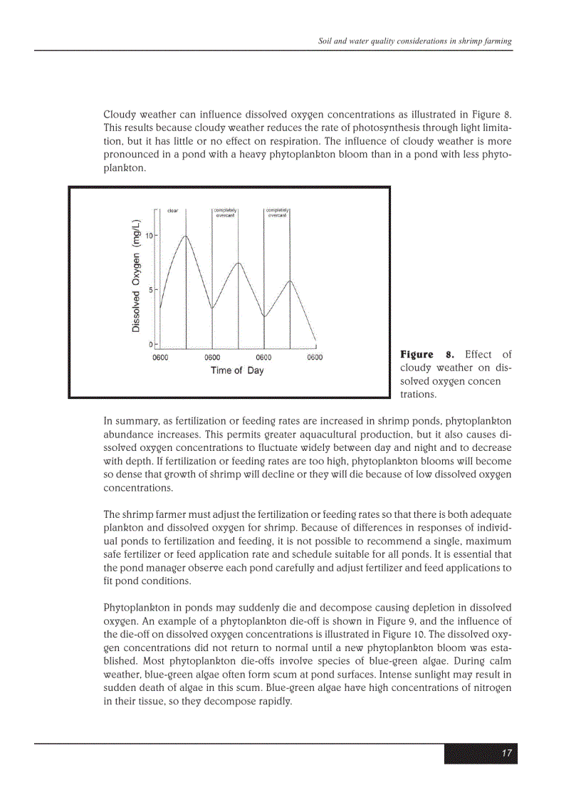 image for page Kỹ thuật nuôi tôm bằng tiếng Anh