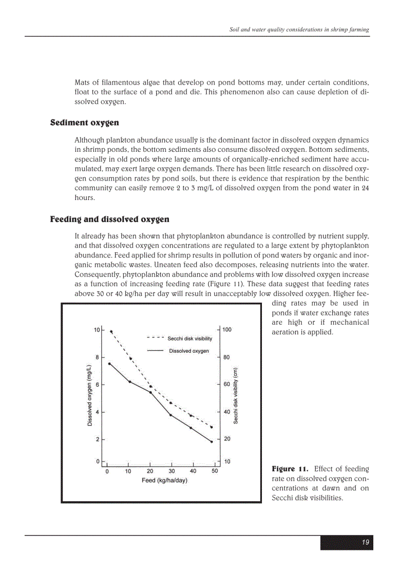 image for page Kỹ thuật nuôi tôm bằng tiếng Anh