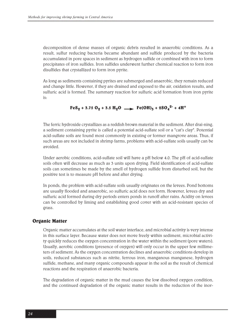 image for page Kỹ thuật nuôi tôm bằng tiếng Anh