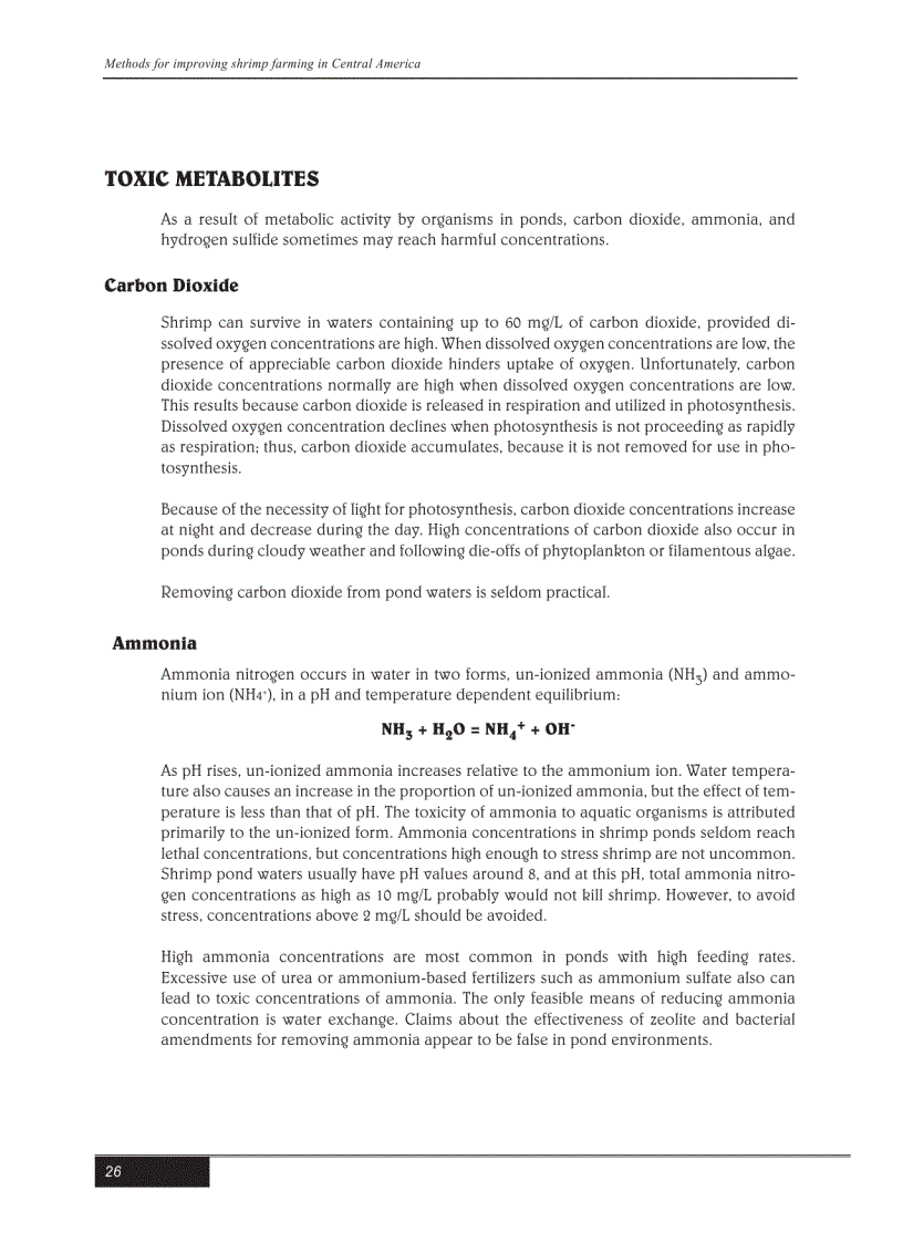 image for page Kỹ thuật nuôi tôm bằng tiếng Anh