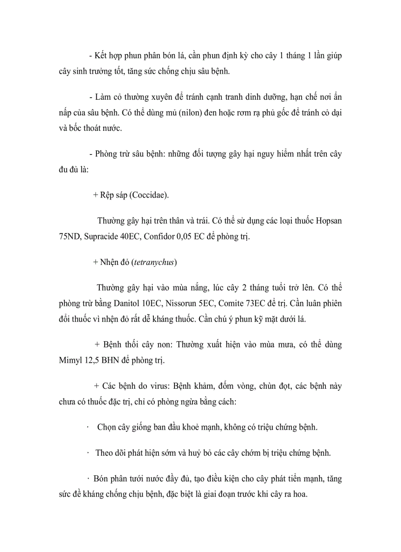 image for page Kỹ thuật trồng và chăm sóc cây đu đủ