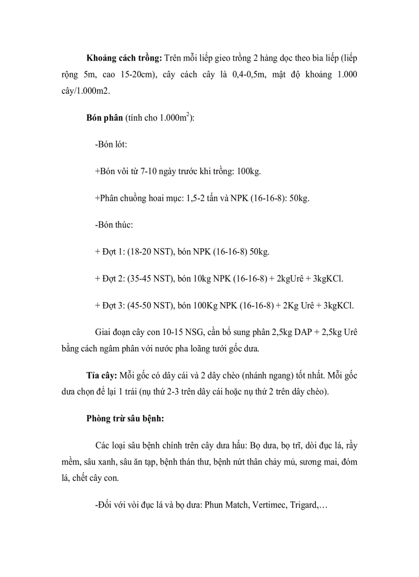 image for page Kỹ thuật trồng dưa hấu