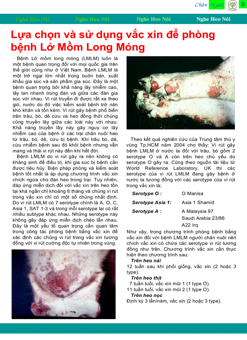 image for page Kiến thức chăn nuôi