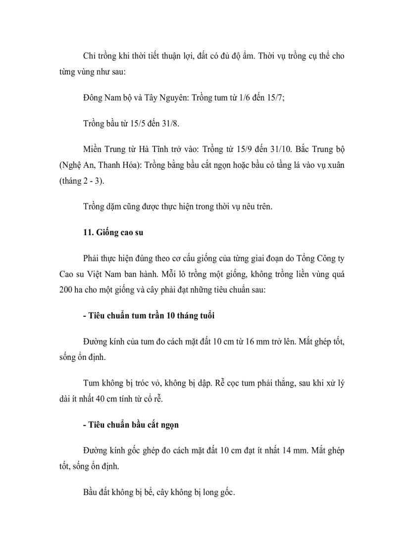 image for page Kỹ thuật trồng cây cao su