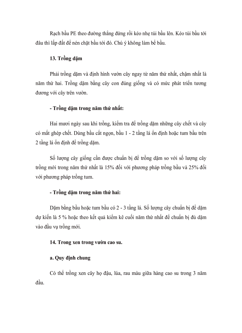 image for page Kỹ thuật trồng cây cao su