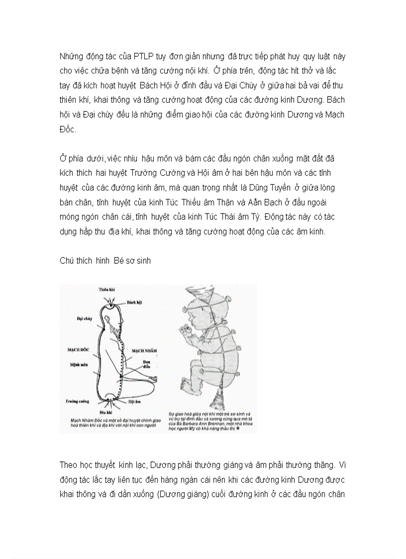 image for page Phật thủ liệu pháp