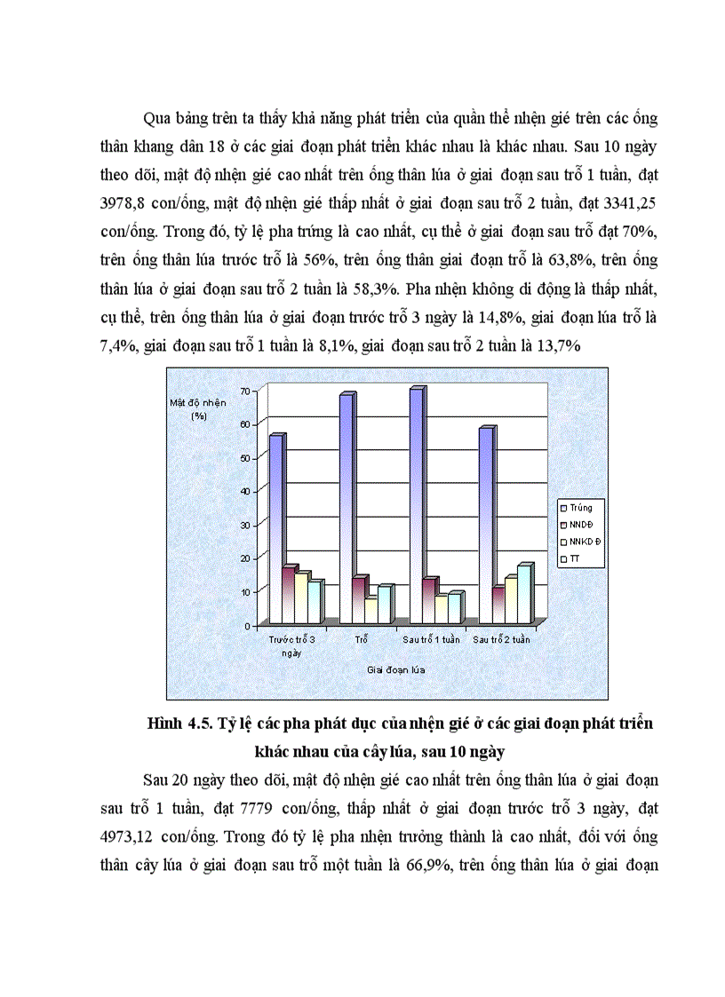 image for page Đánh giá bước đầu về khả năng nhân nguồn nhện gié xác định tỷ lệ tăng tự nhiên và ngưỡng gây hại của nhện gié Steneotarsonemus spinki Smile 2011