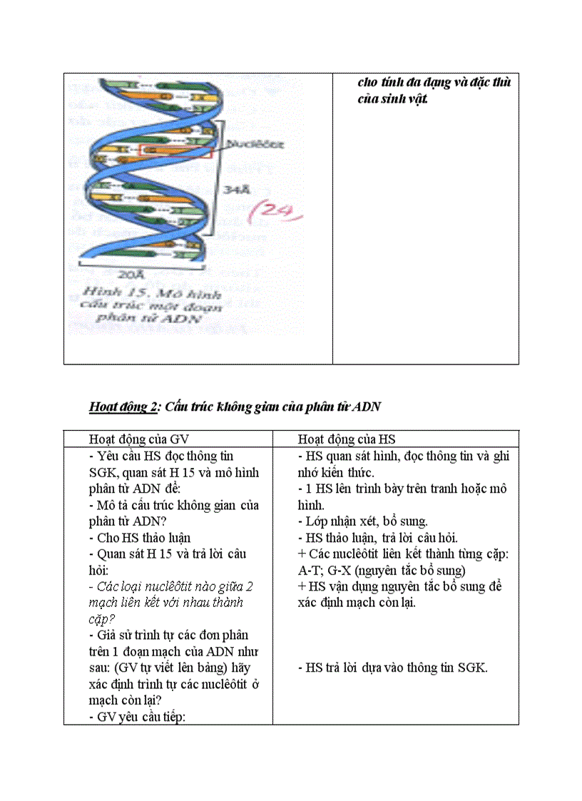 Sinh học ADN