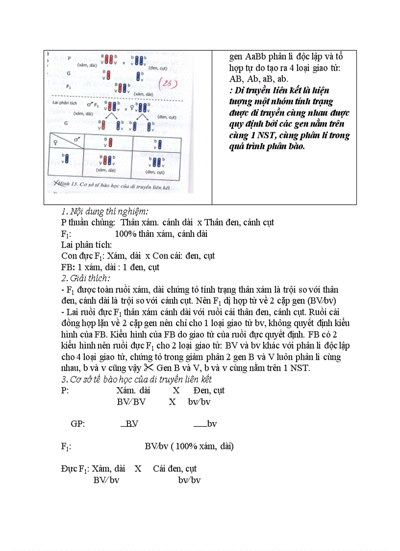 image for page Sinh học DI TRUYỀN LIÊN KẾT