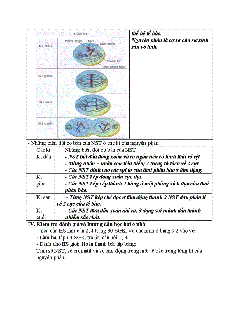 image for page Sinh học NGUYÊN PHÂN