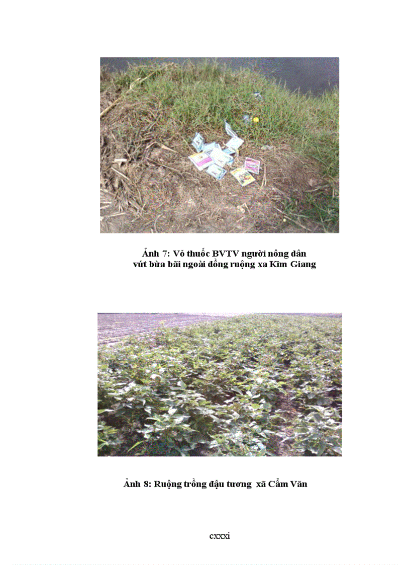 image for page Đánh giá hiện trạng và định hướng sử dụng đất nông nghiệp huyện cẩm giàng tỉnh hải dương