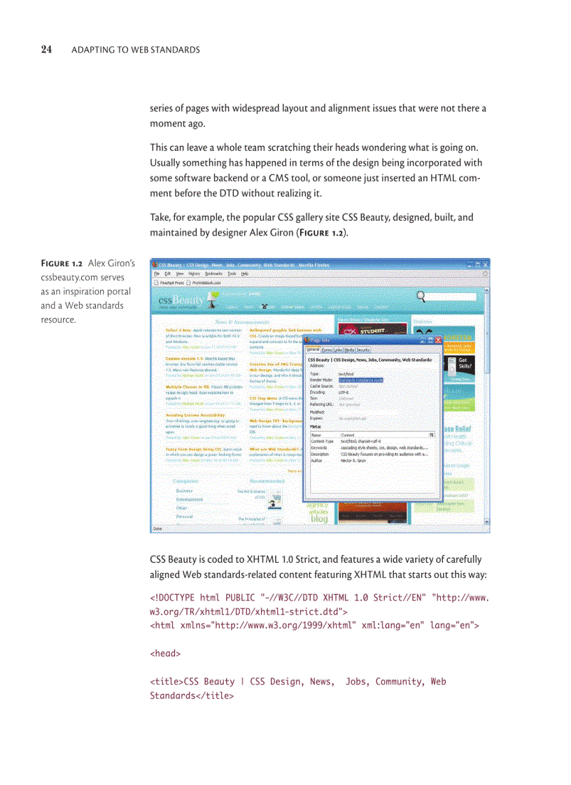 image for page Adapting to Web Standards CSS and Ajax for Big Sites