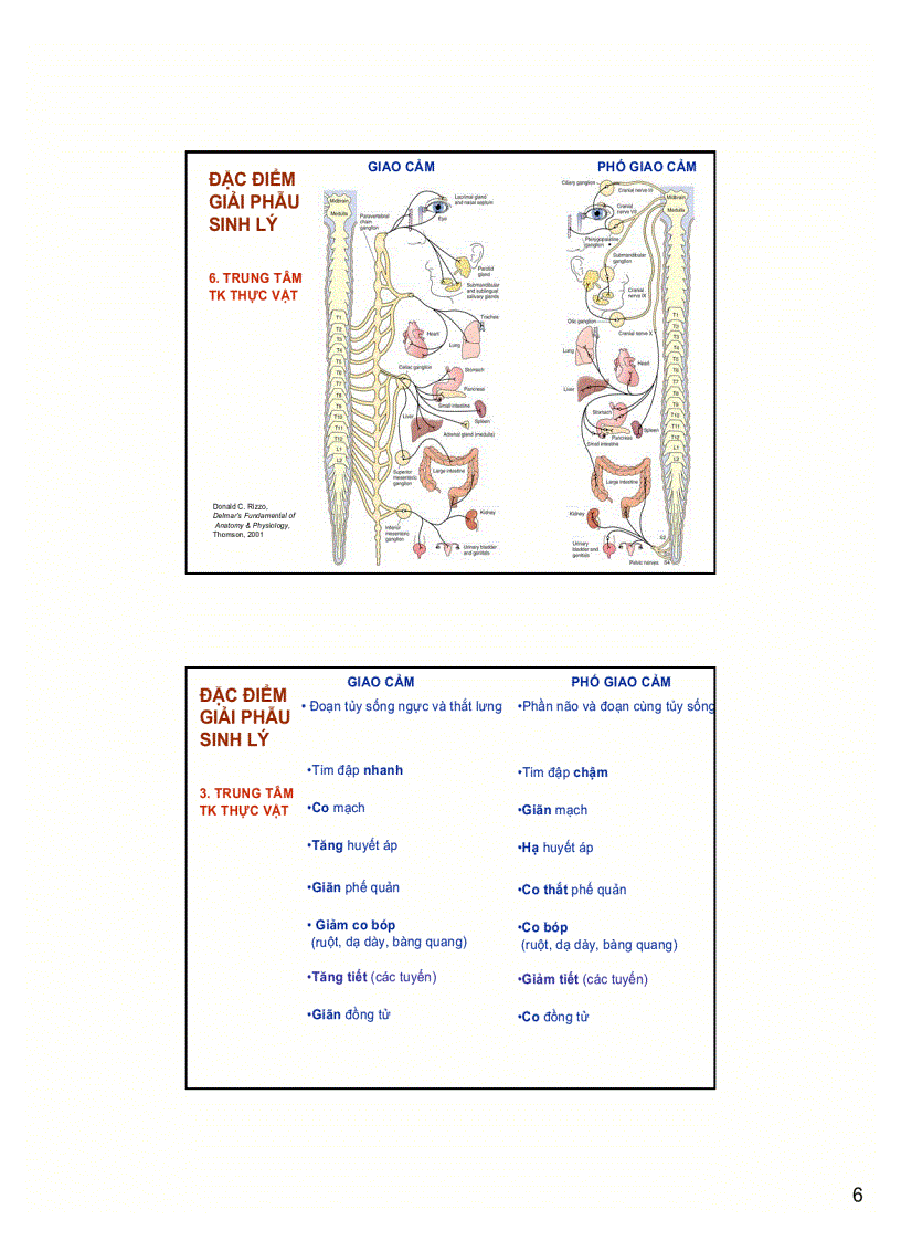 image for page Hệ thần kinh và bệnh lý
