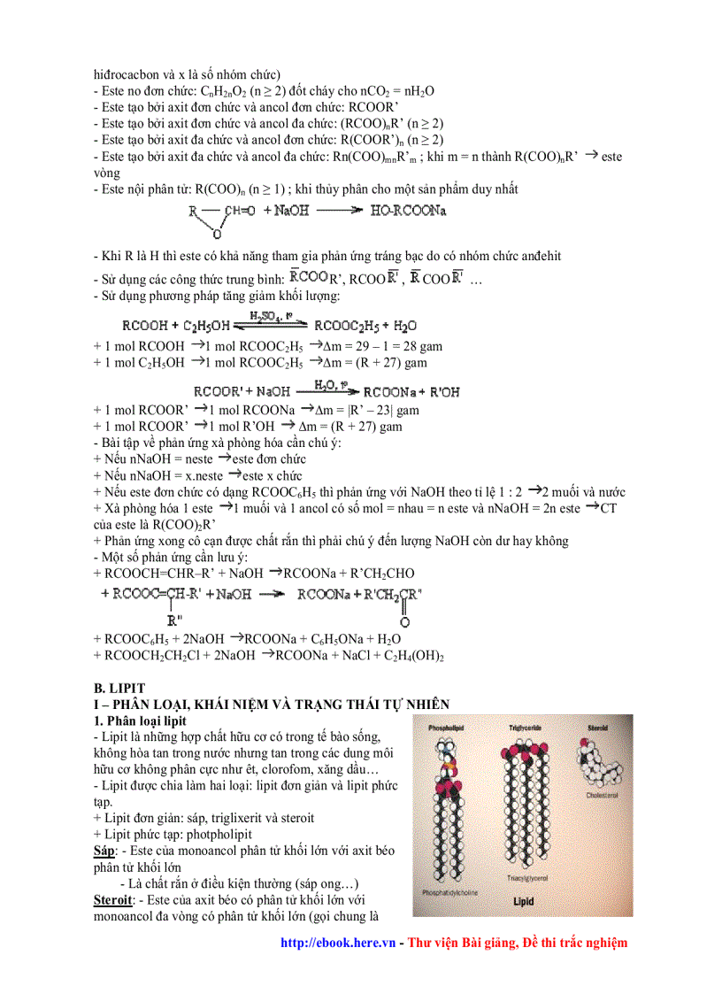 image for page Este Lipit Chất giặt rửa HÓA 2010 Hồ Chí Tuấn