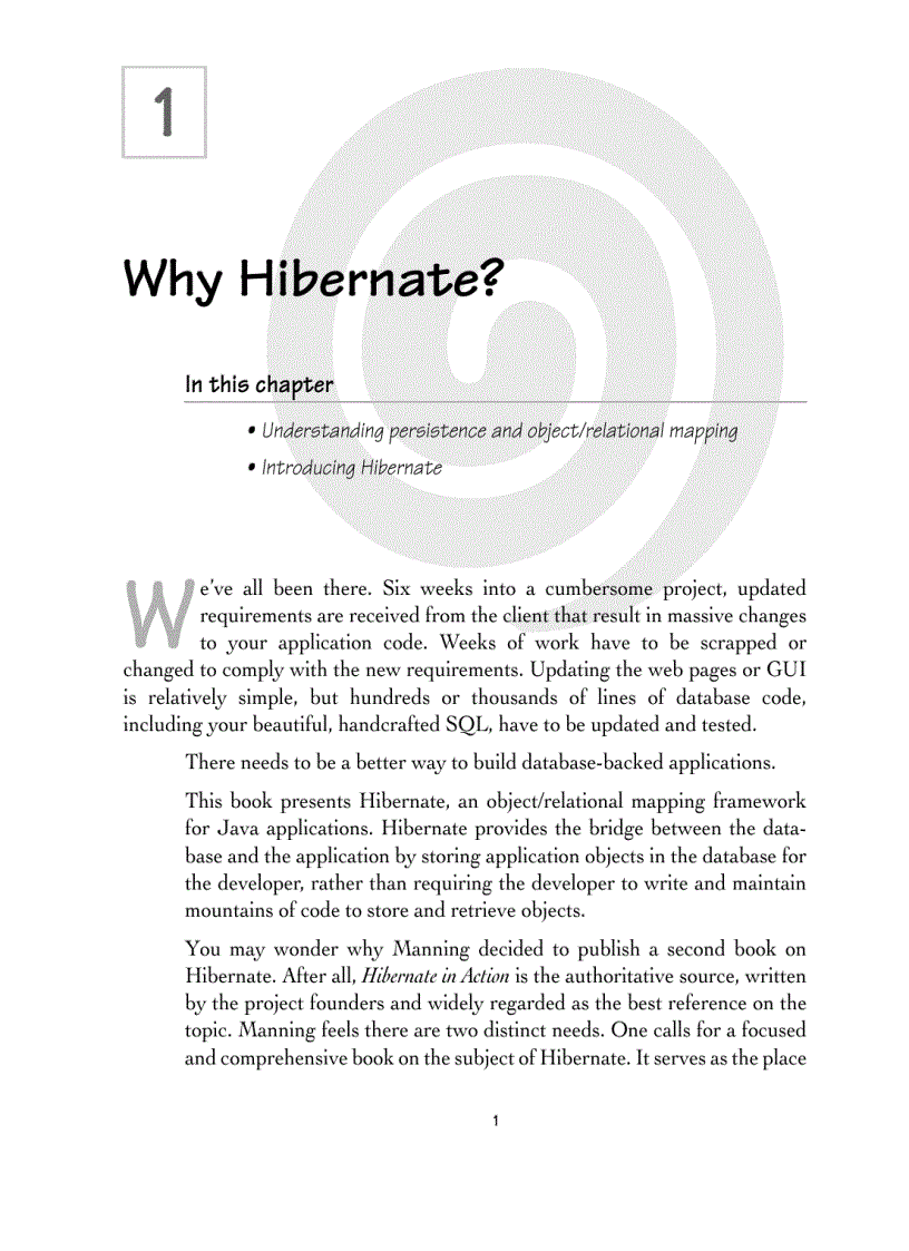 image for page Hibernate Quickly