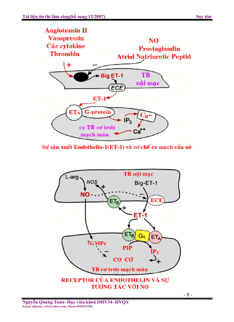 image for page Tài liệu ôn thi lâm sàng Suy tim