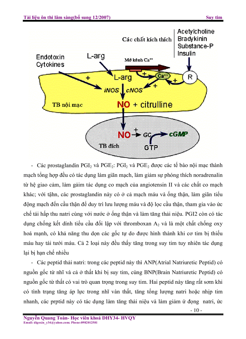 image for page Tài liệu ôn thi lâm sàng Suy tim