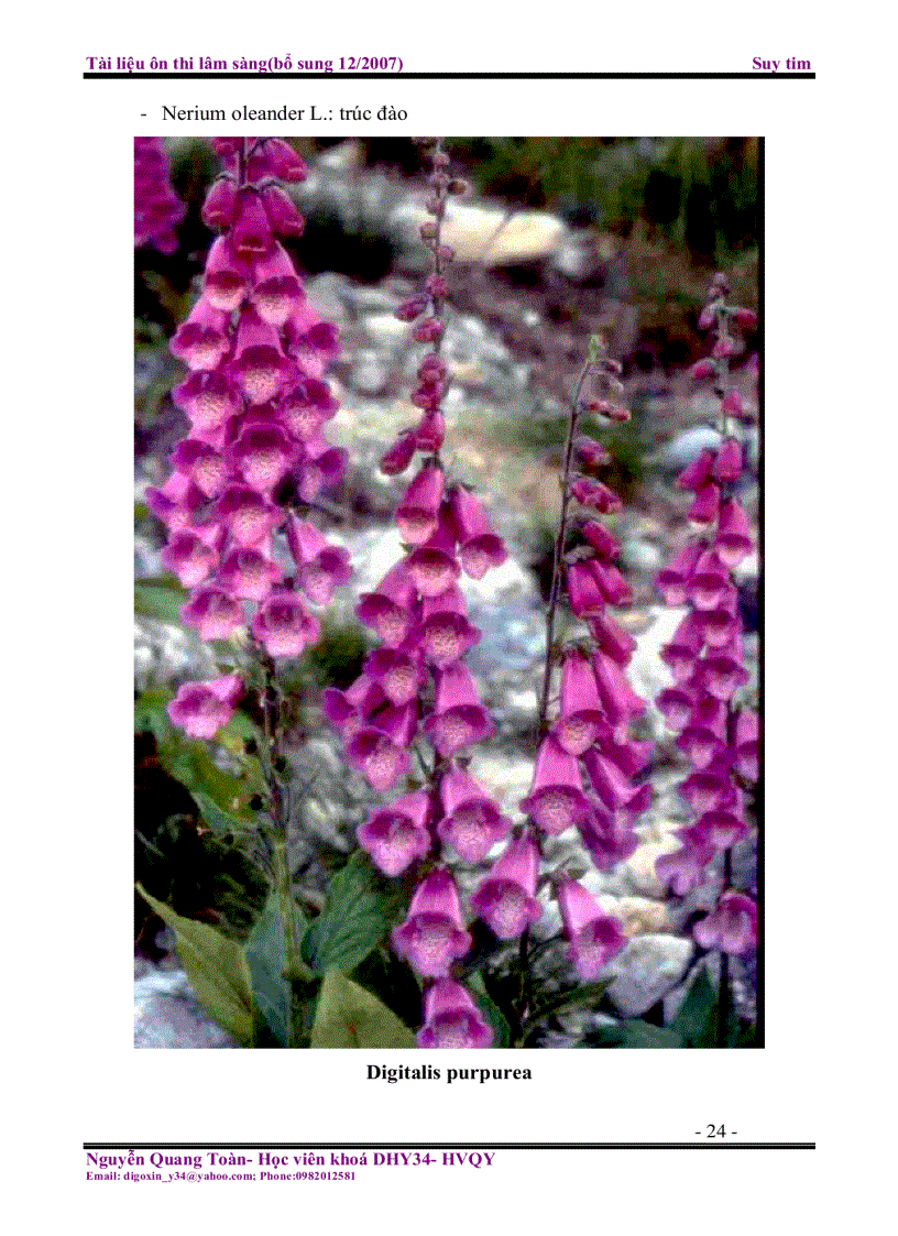 image for page Tài liệu ôn thi lâm sàng Suy tim