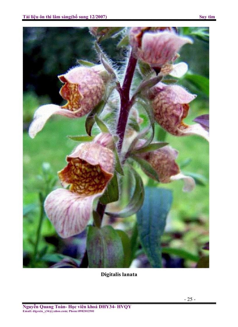 image for page Tài liệu ôn thi lâm sàng Suy tim