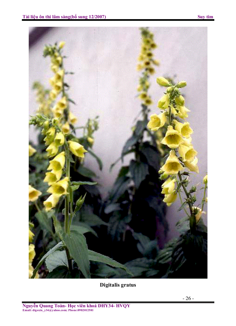 image for page Tài liệu ôn thi lâm sàng Suy tim