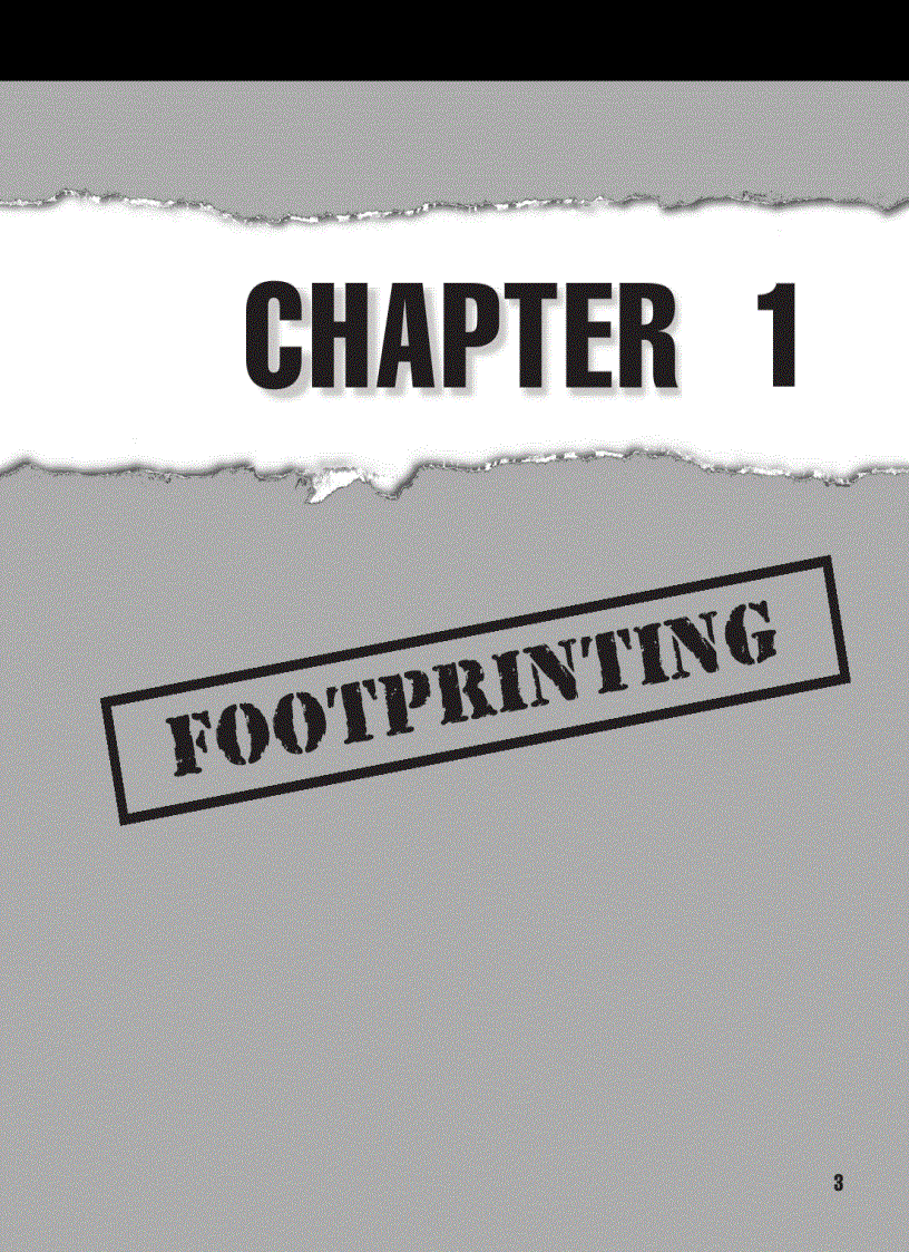 image for page Hacking Exposed Network Security Secrets and Solutions