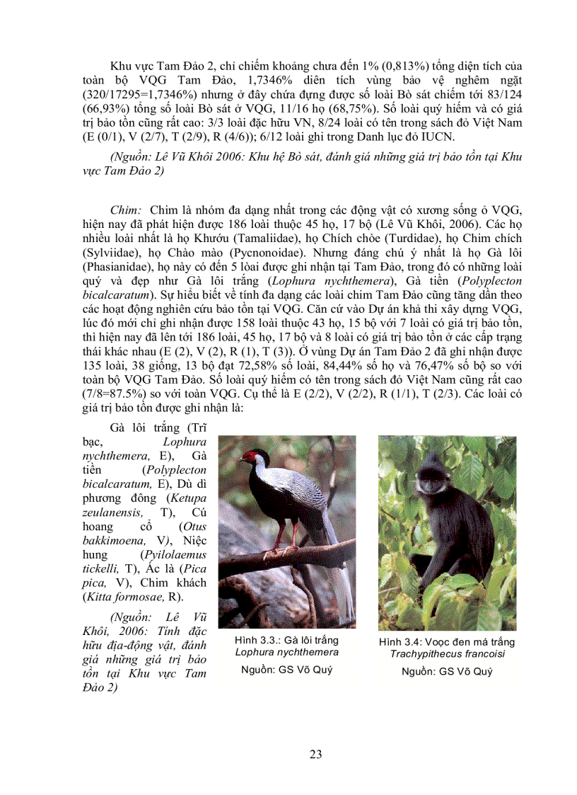 image for page Vườn quốc gia Tam Đảo vai trò và tầm quan trọng đối với việc bảo tồn đa dạng sinh học và bảo vệ môi trường của đồng bằng Bắc bộ và Việt Nam