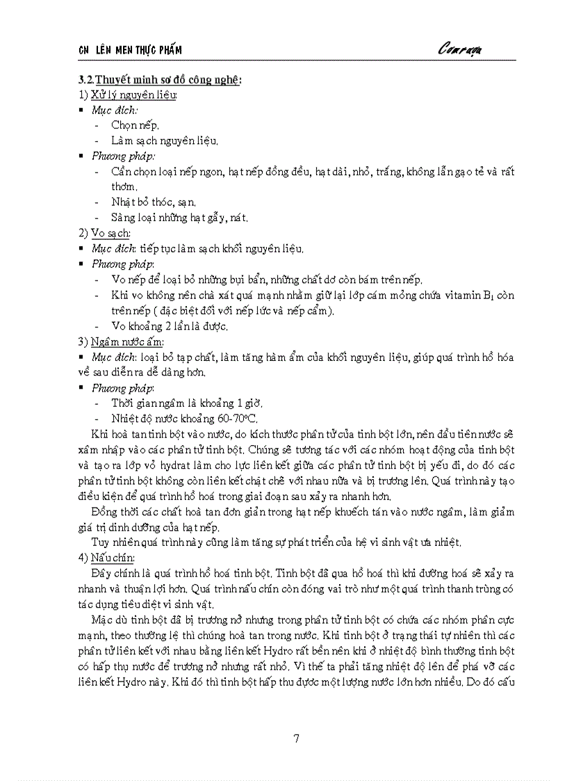 image for page Công nghệ lên men thực phẩm cơm rượu