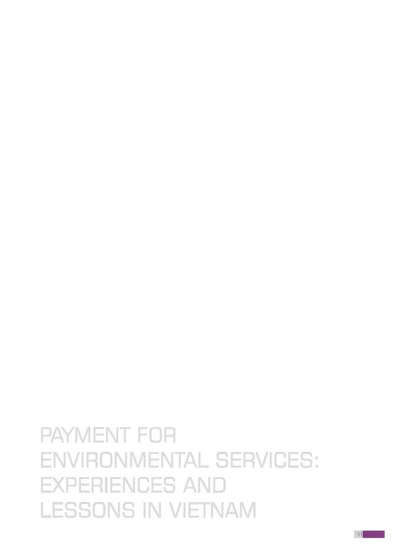 image for page Payment for environment services experiences and lessons in Vietnam
