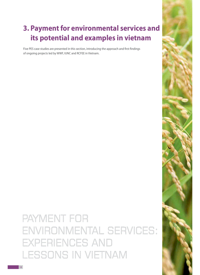 image for page Payment for environment services experiences and lessons in Vietnam