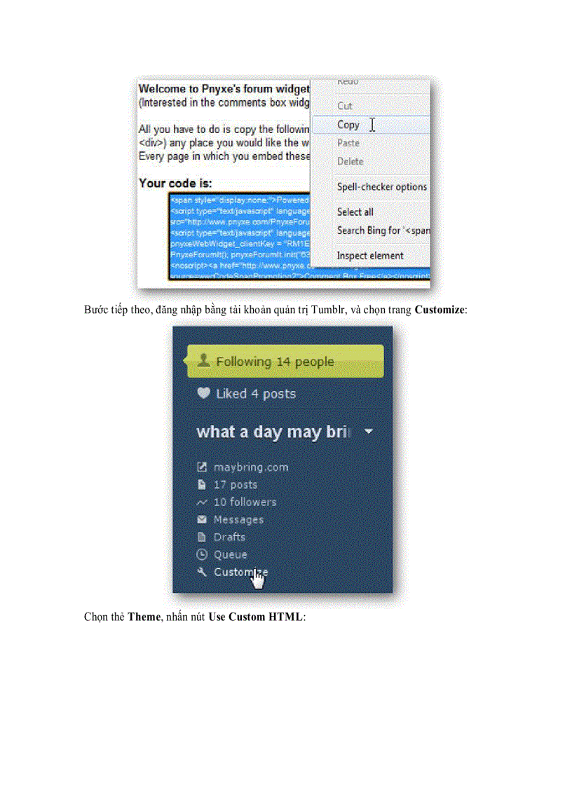 image for page Hướng dẫn ghép thêm forum bất kỳ vào blog Tumblr